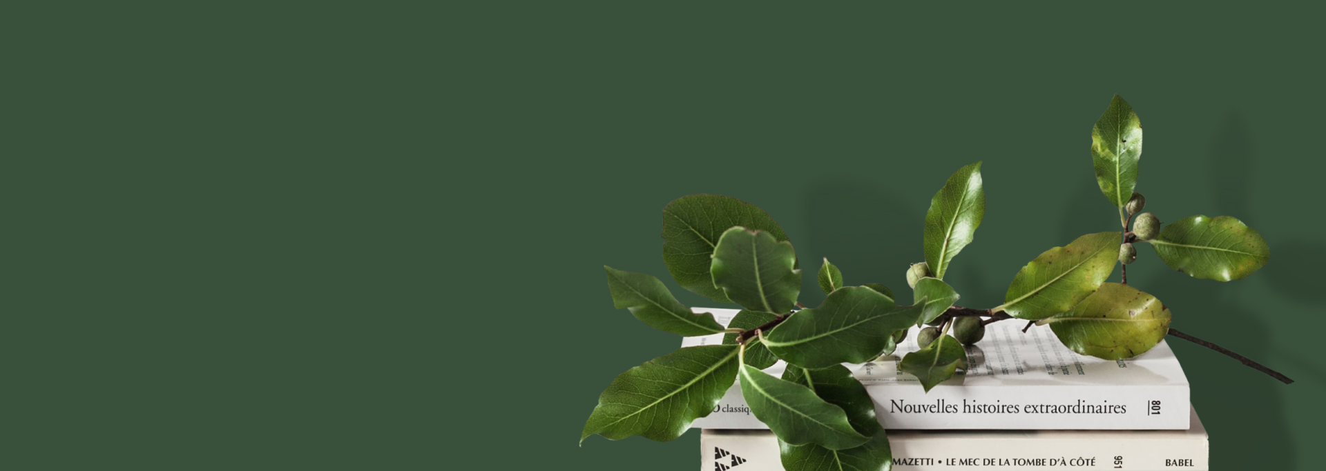 Премиум-краски